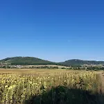 Wunderschoene Am Glatzenstein Im Nuernberger Land 아파트 *