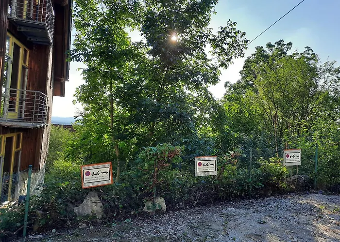 Wunderschoene Am Glatzenstein Im Nuernberger Land * Weissenbach (Nurnberger Land)